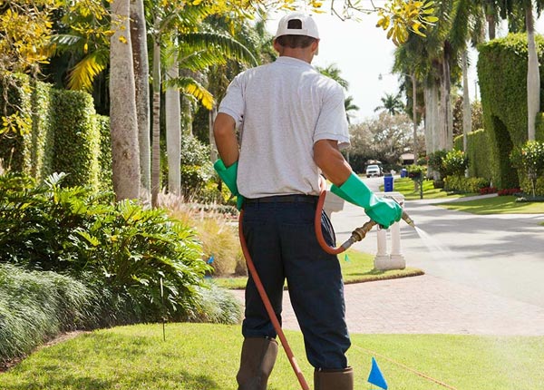 About Clifton Hill MO Pest Control